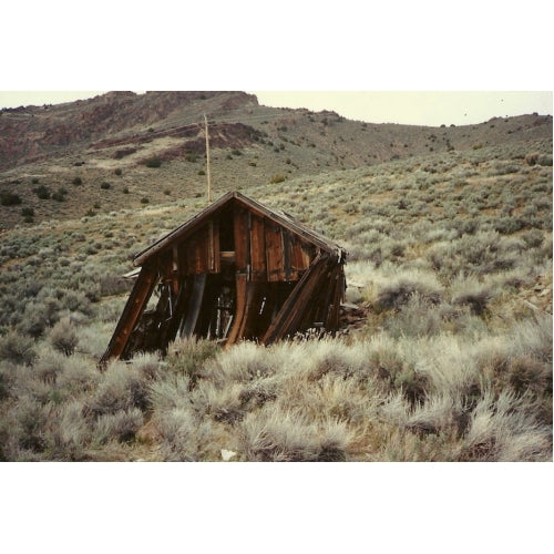 In 1988 this leaning shack was still standing in Upper Rochester, but little evidence of the townsite remains today.