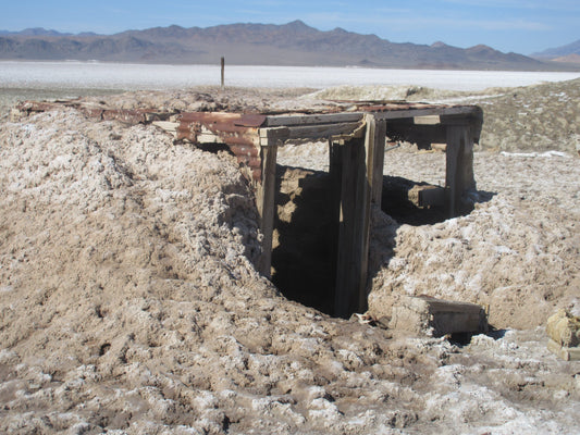Borax structure on Columbus Marsh