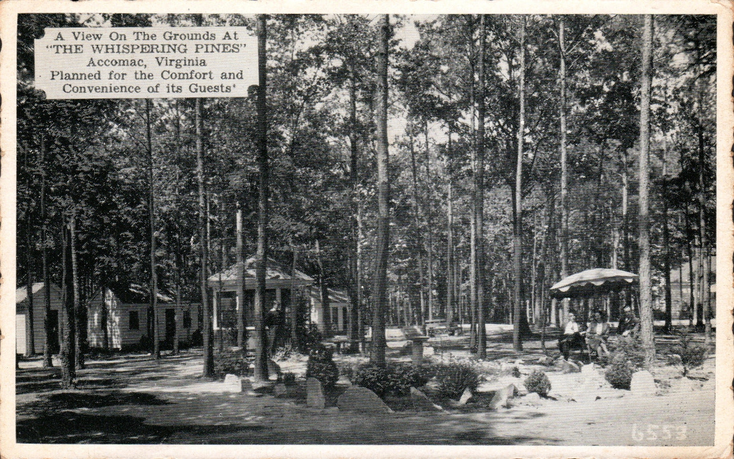 Accomac County, VA (19 items)