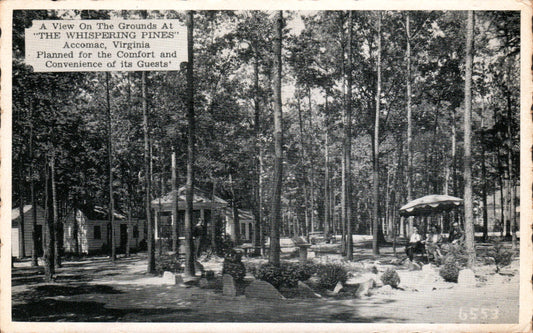 Accomac County, VA (19 items)