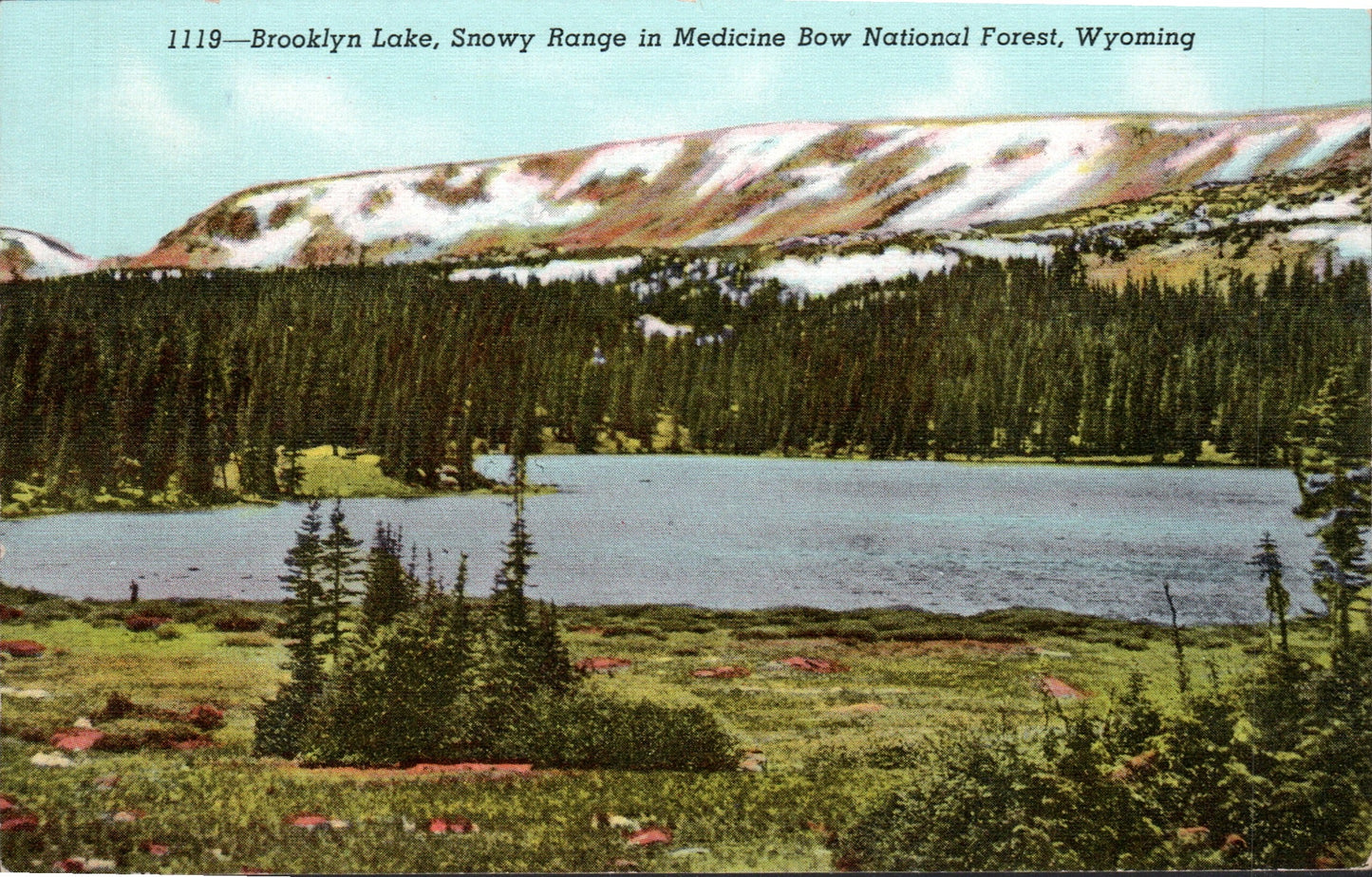 Albany County, WY (26 items)