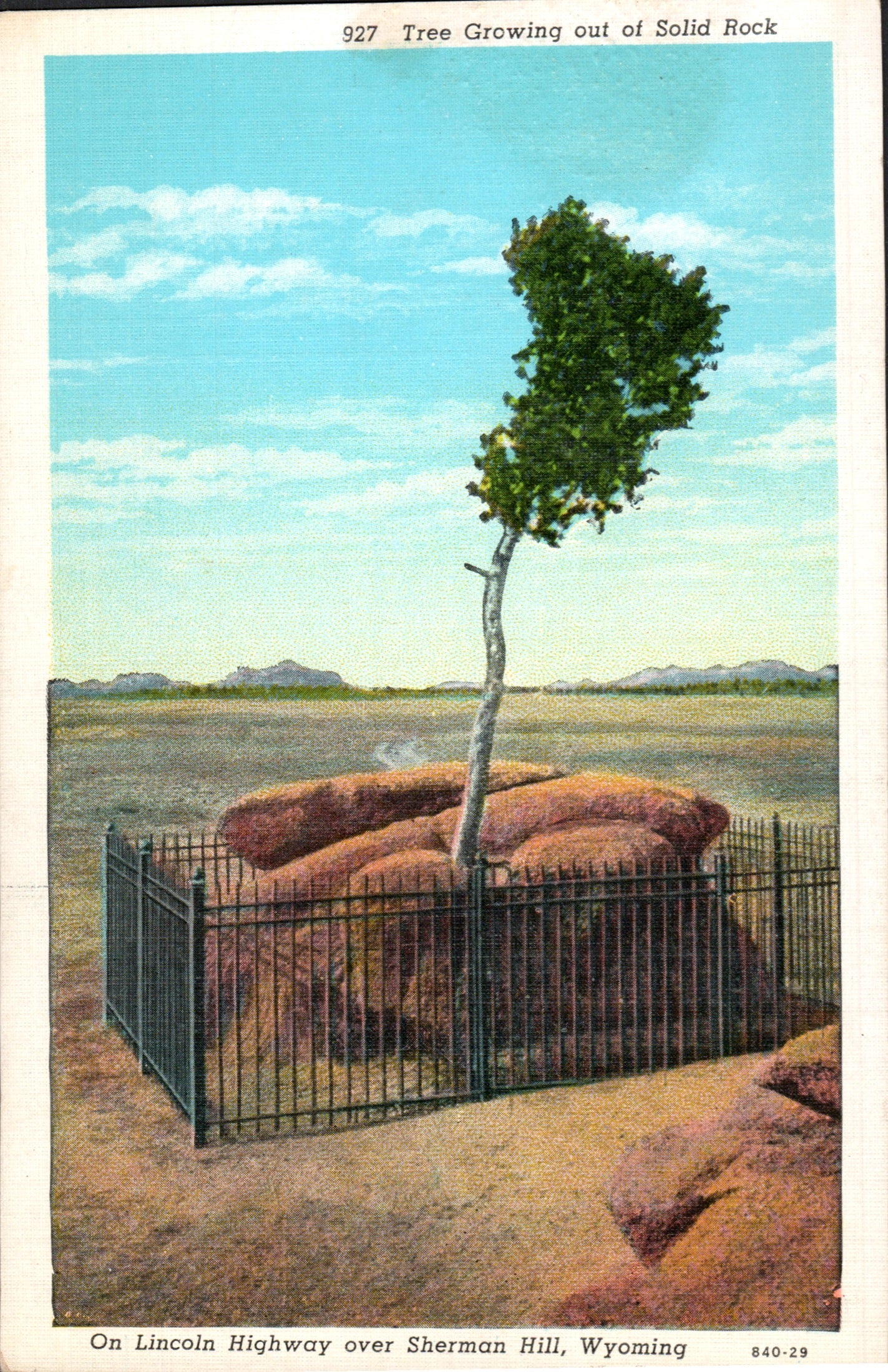 Albany County, WY (26 items)