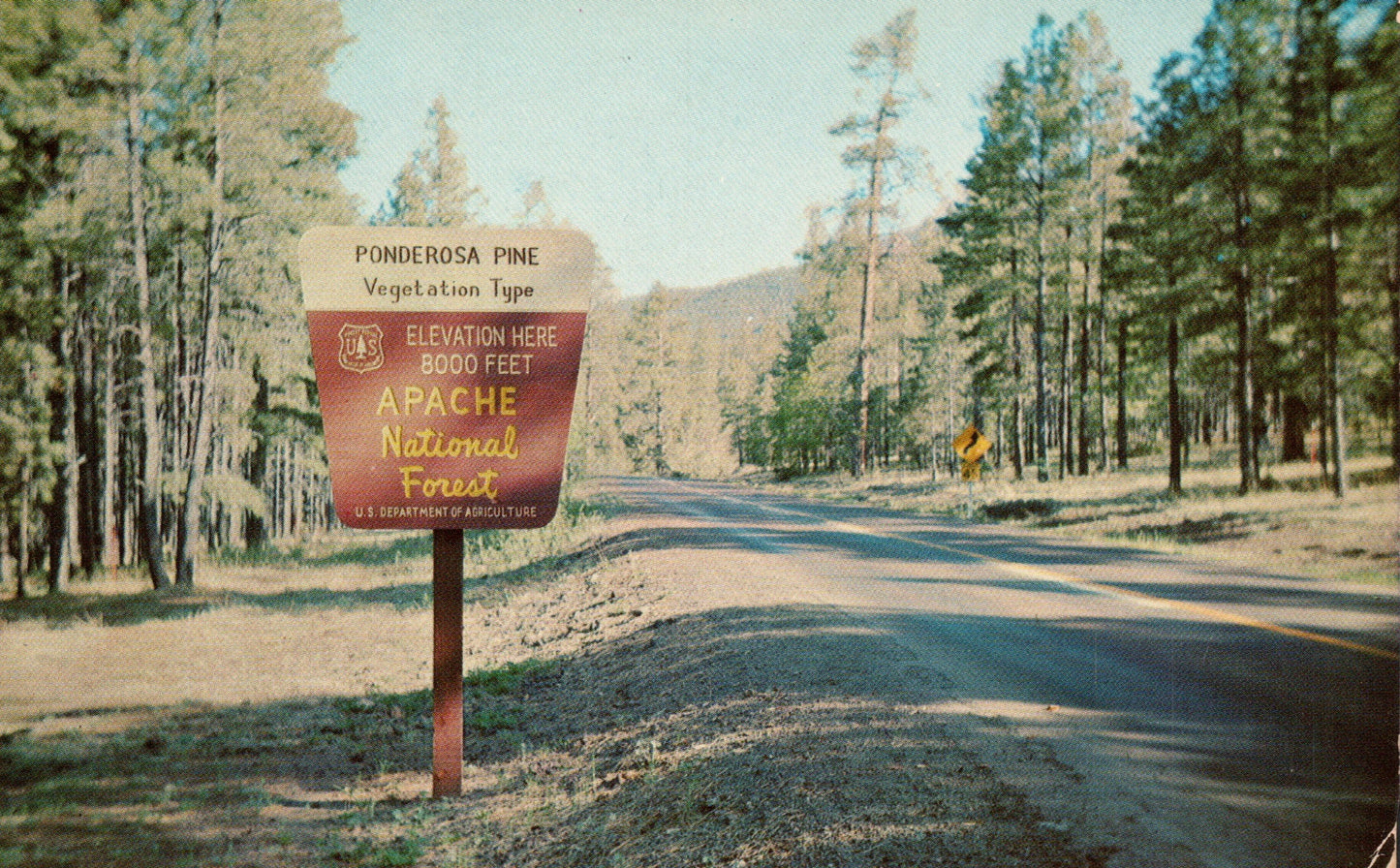 Apache County, AZ (21 items)