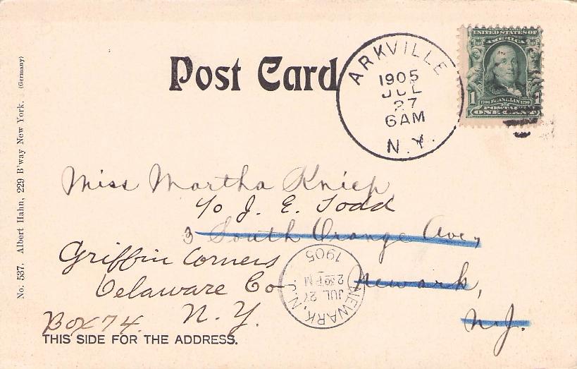 Delaware County, NY (41 items)