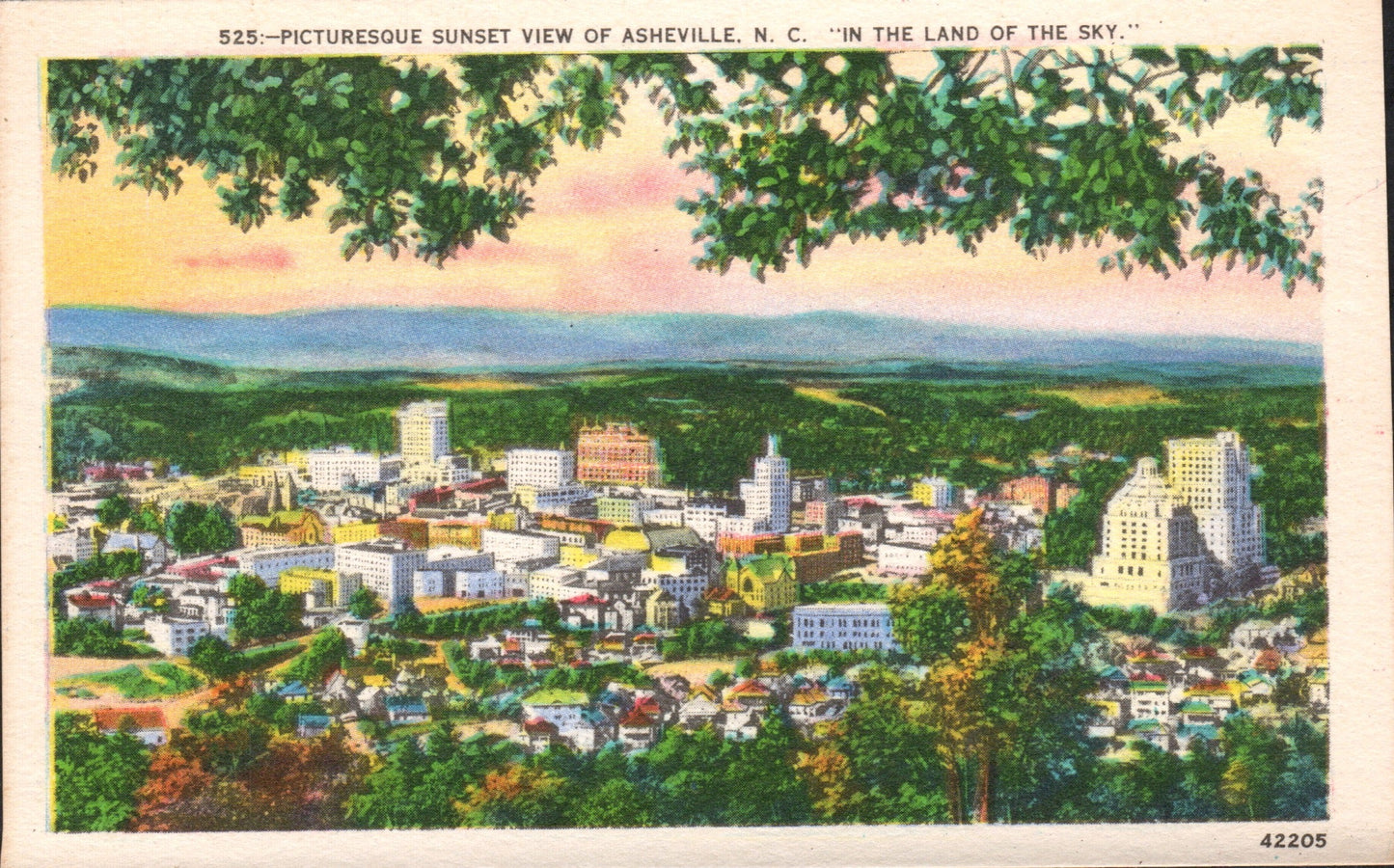 Buncombe County, NC (71 items)