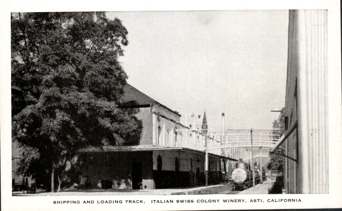 Sonoma County, CA (119 items)