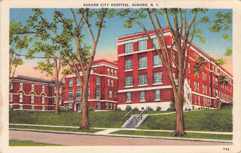 Cayuga County, NY (31 items)