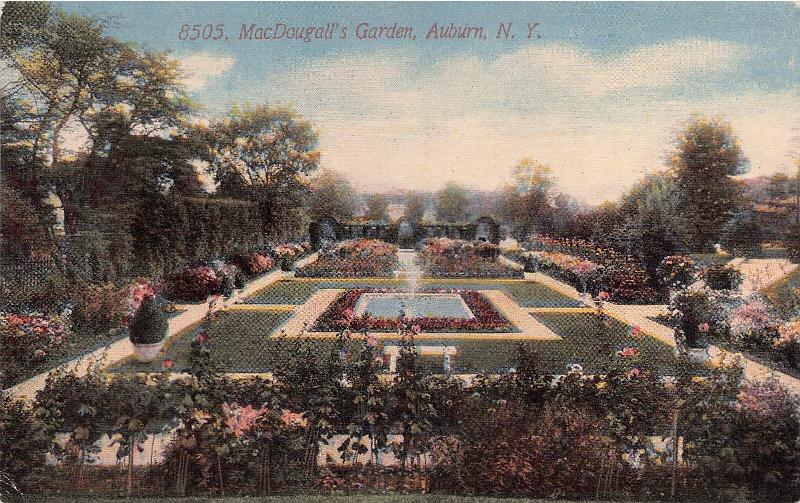 Cayuga County, NY (31 items)