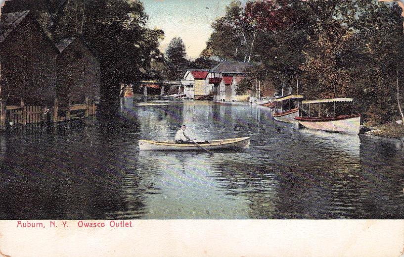 Cayuga County, NY (31 items)