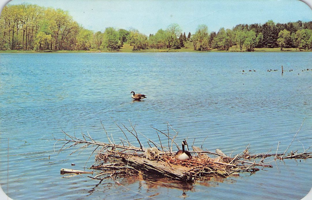 Kalamazoo County, MI (23 items)