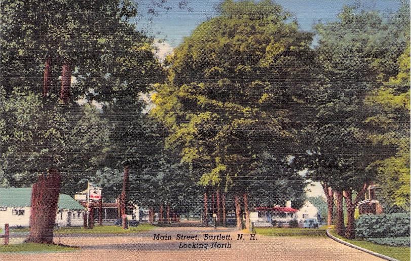 Carroll County, NH (30 items)