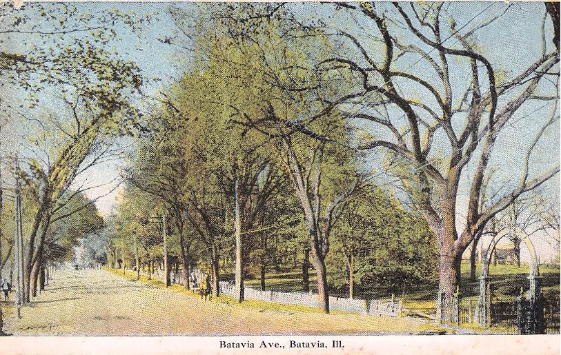 Kane County, IL (50 items)