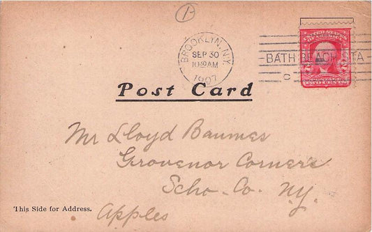 Kings County, NY (37 items)