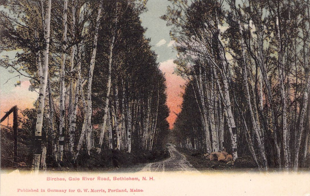 Grafton County, NH (64 items)