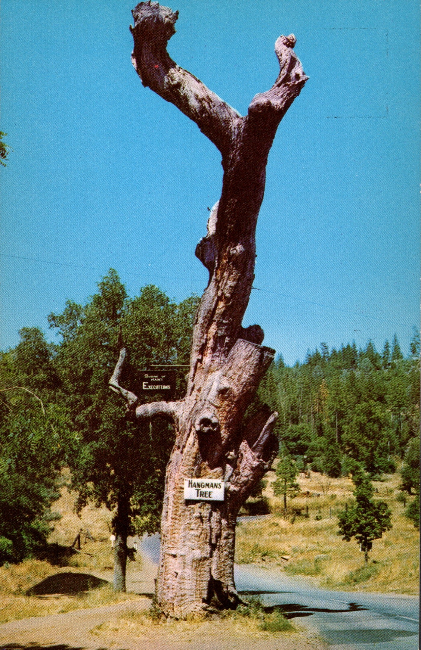 Tuolumne County, CA (65 items)