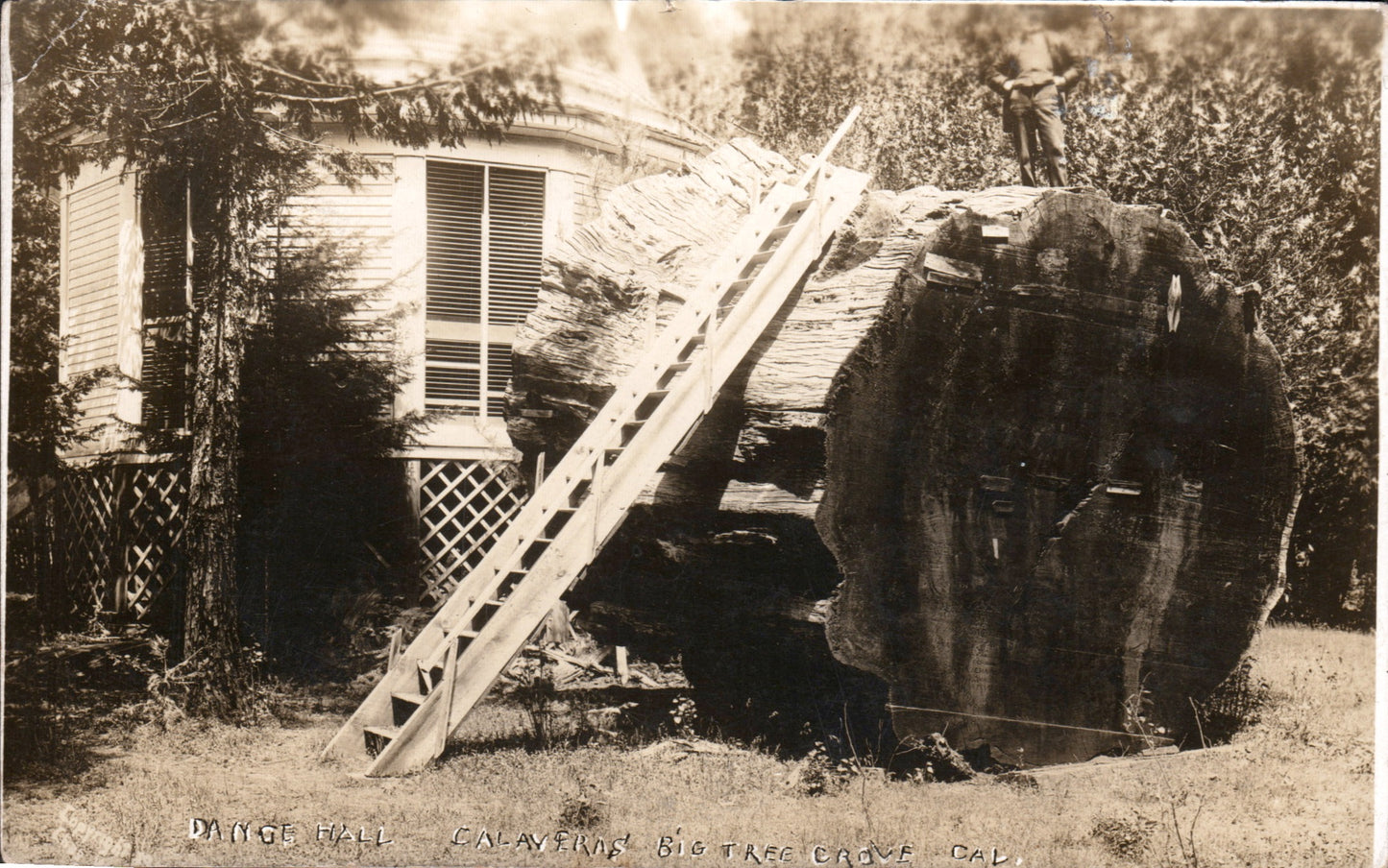 Calaveras County, CA (76 items)