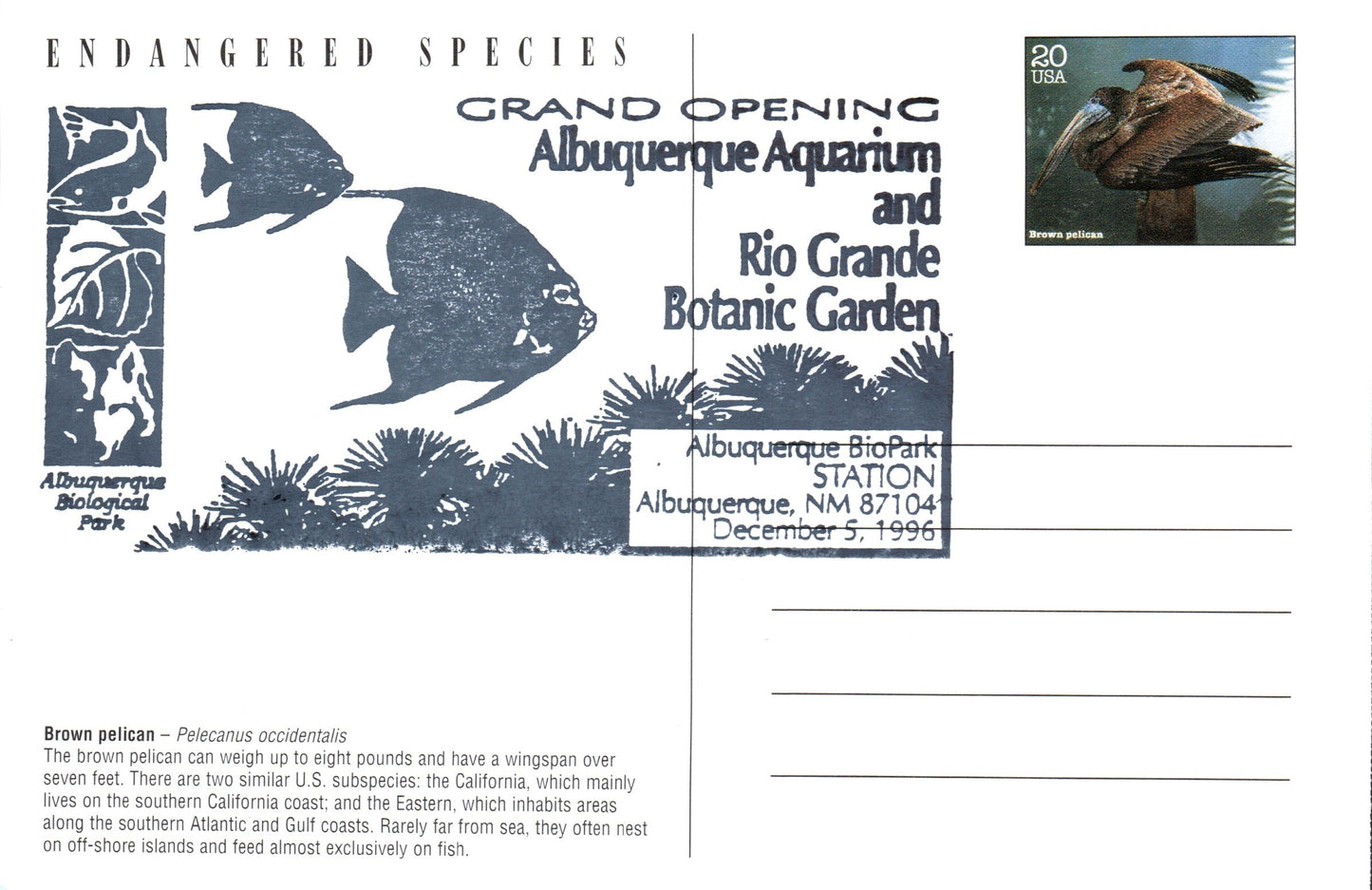 Bernalillo County, NM (18 items)