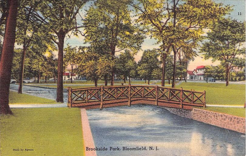 Essex County, NJ (44 items)