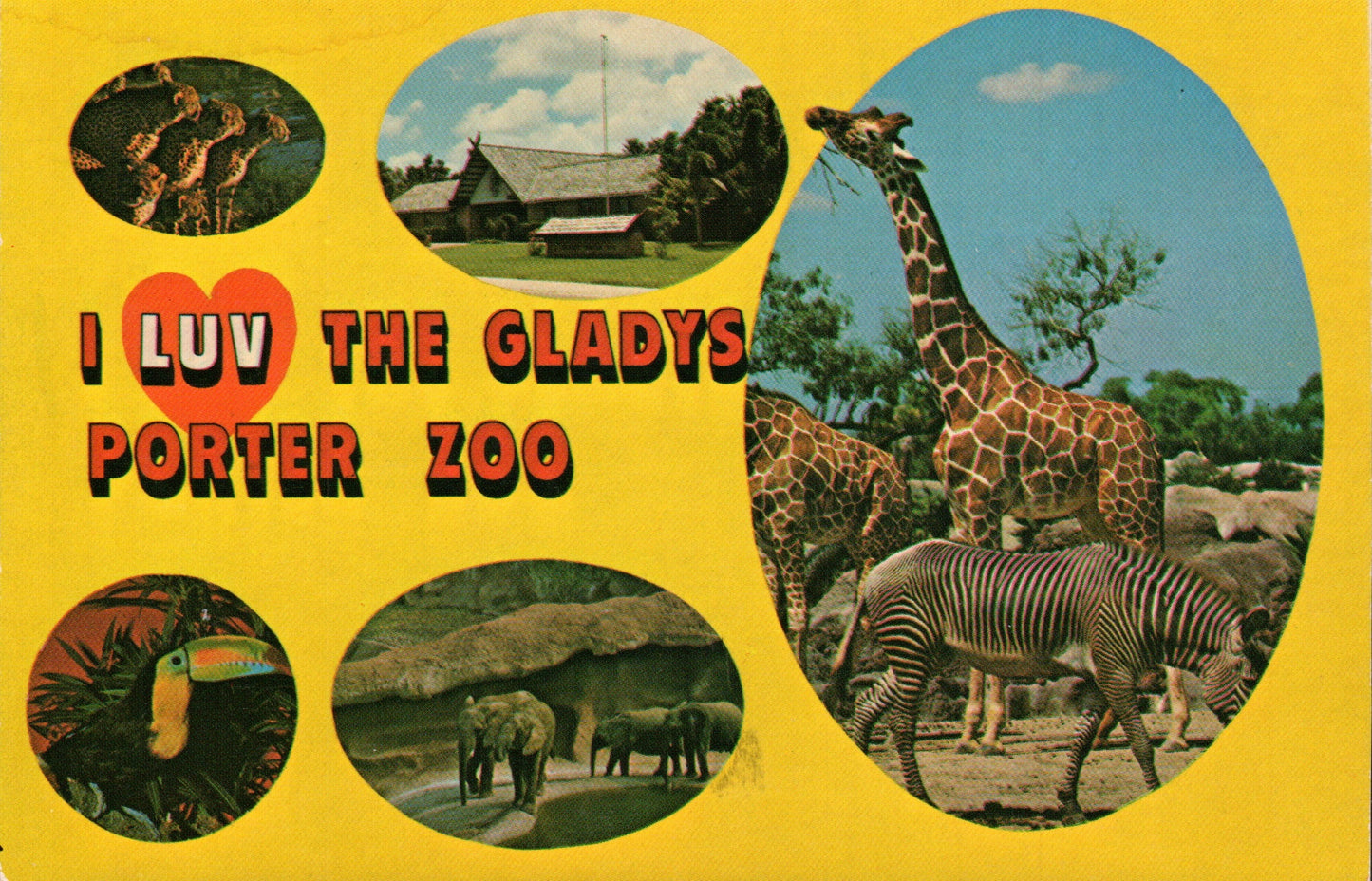 Cameron County, TX (29 items)