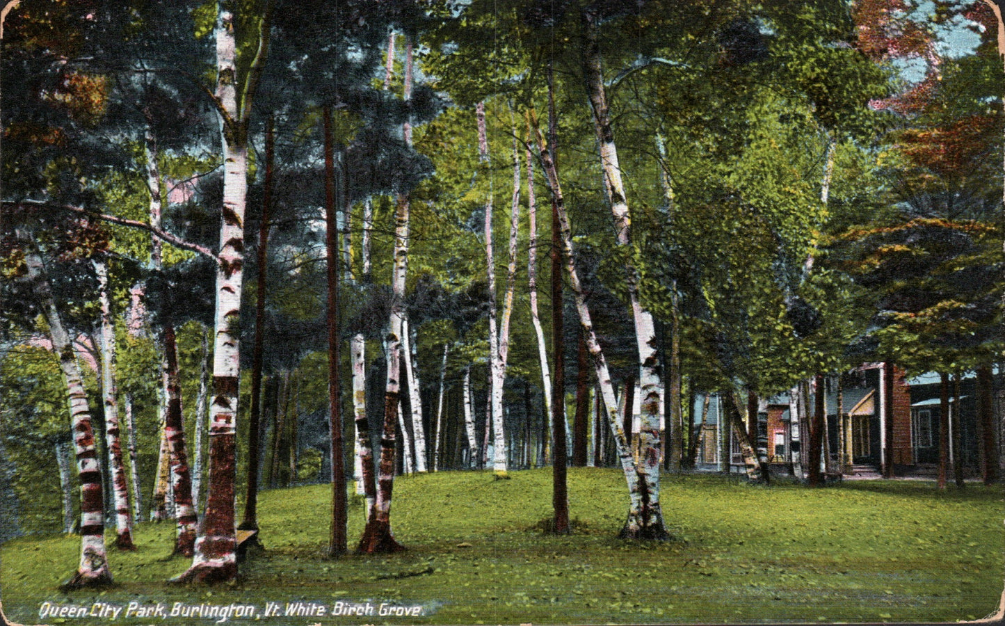 Chittenden County, VT (51 items)