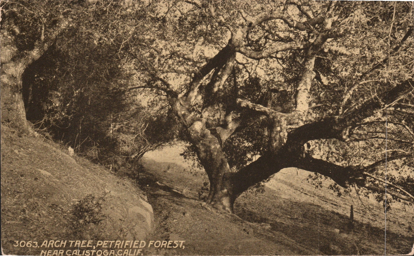 Napa County, CA (34 items)