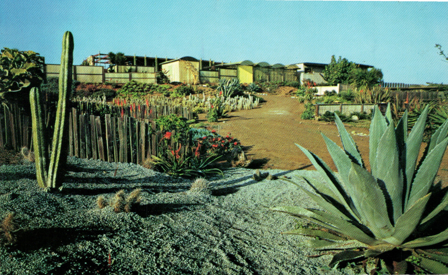 San Luis Obispo County, CA (38 items)
