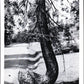 Calaveras County, CA (76 items)