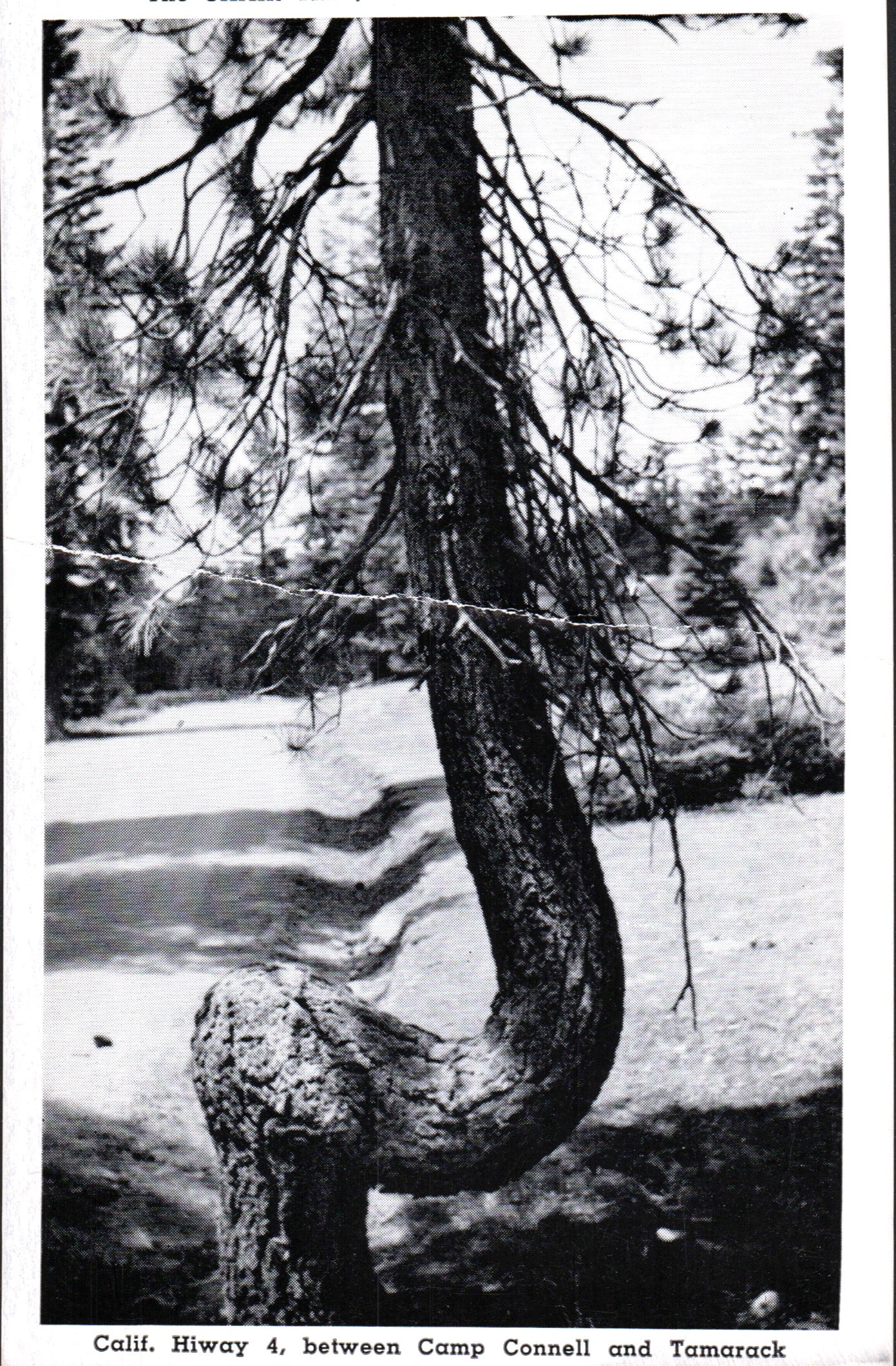 Calaveras County, CA (76 items)