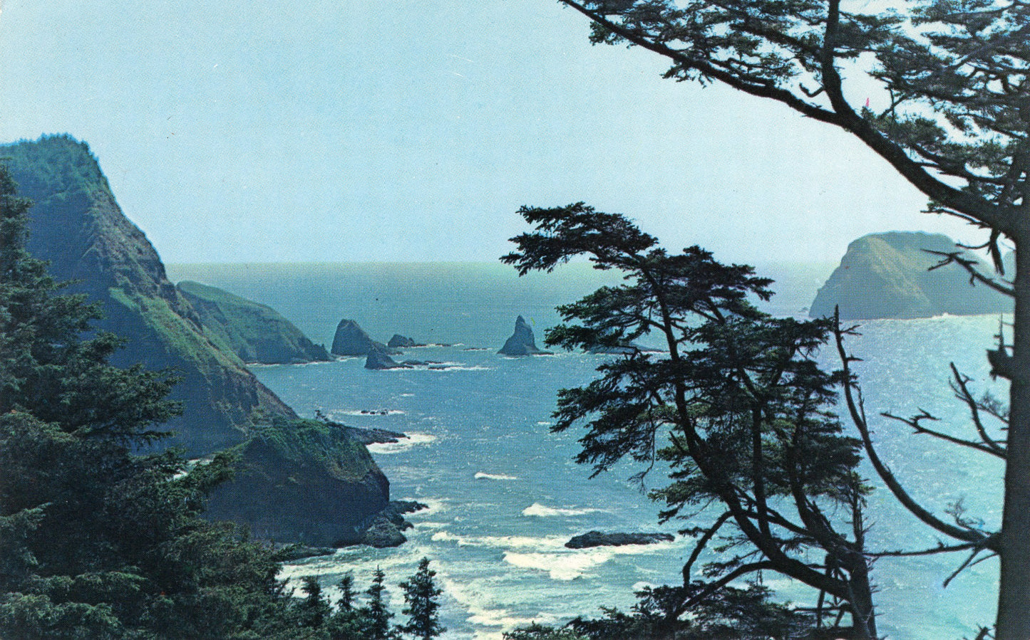 Tillamook County, OR (108 items)