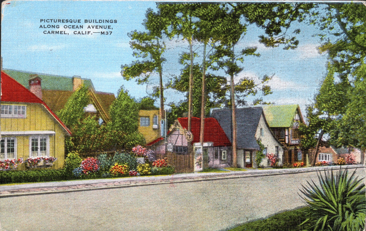 Monterey County, CA (74 items)