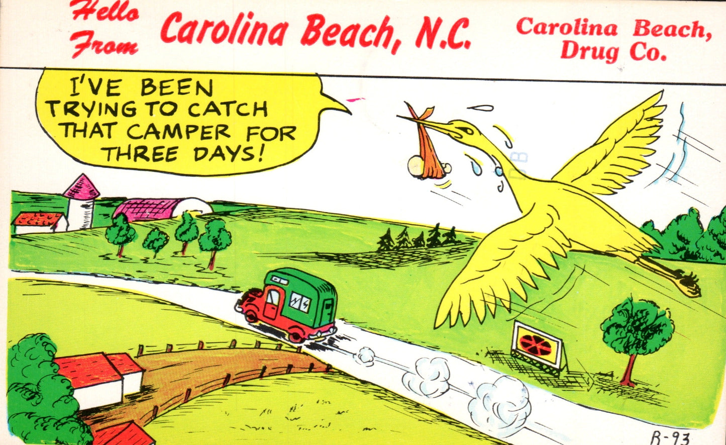 New Hanover County, NC (29 items)