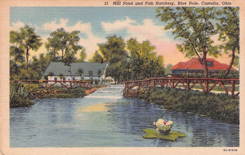 Erie County, OH (35 items)