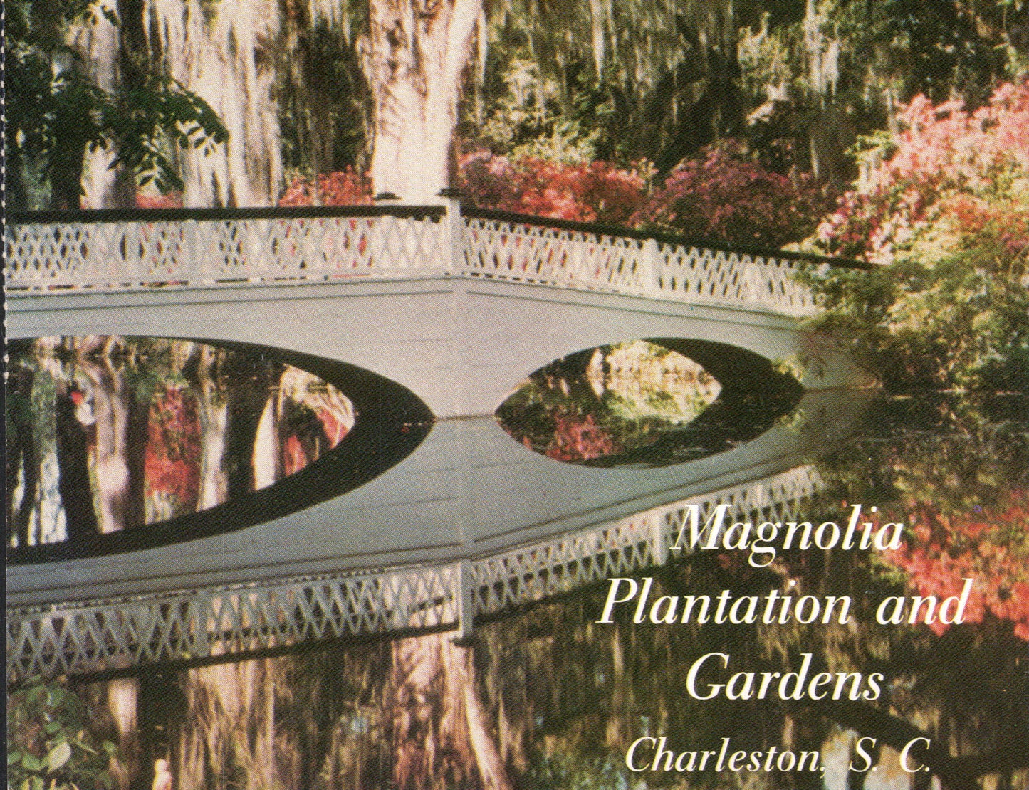 Charleston County, SC (46 items)