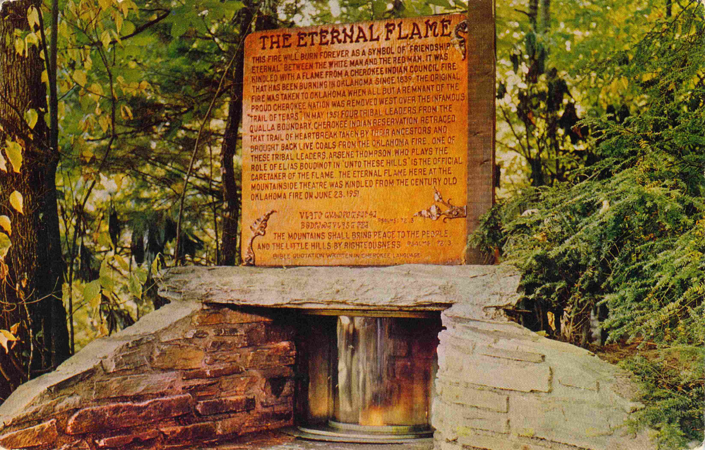 Swain County, NC (15 items)