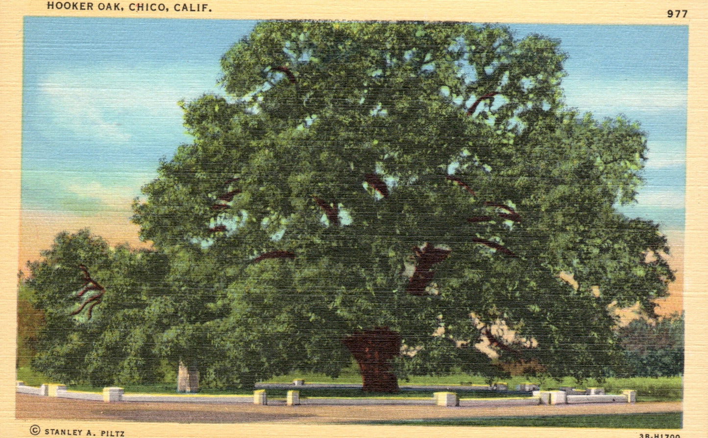 Butte County, CA (24 items)