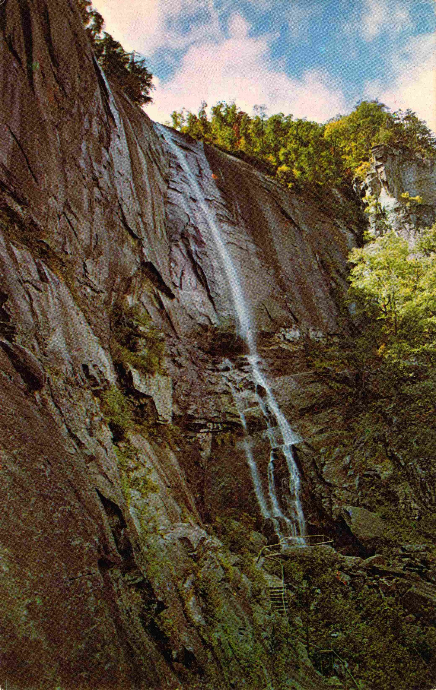 Rutherford County, NC (24 items)