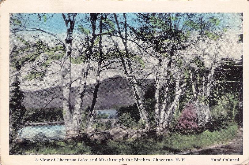 Carroll County, NH (30 items)