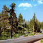 Tuolumne County, CA (65 items)
