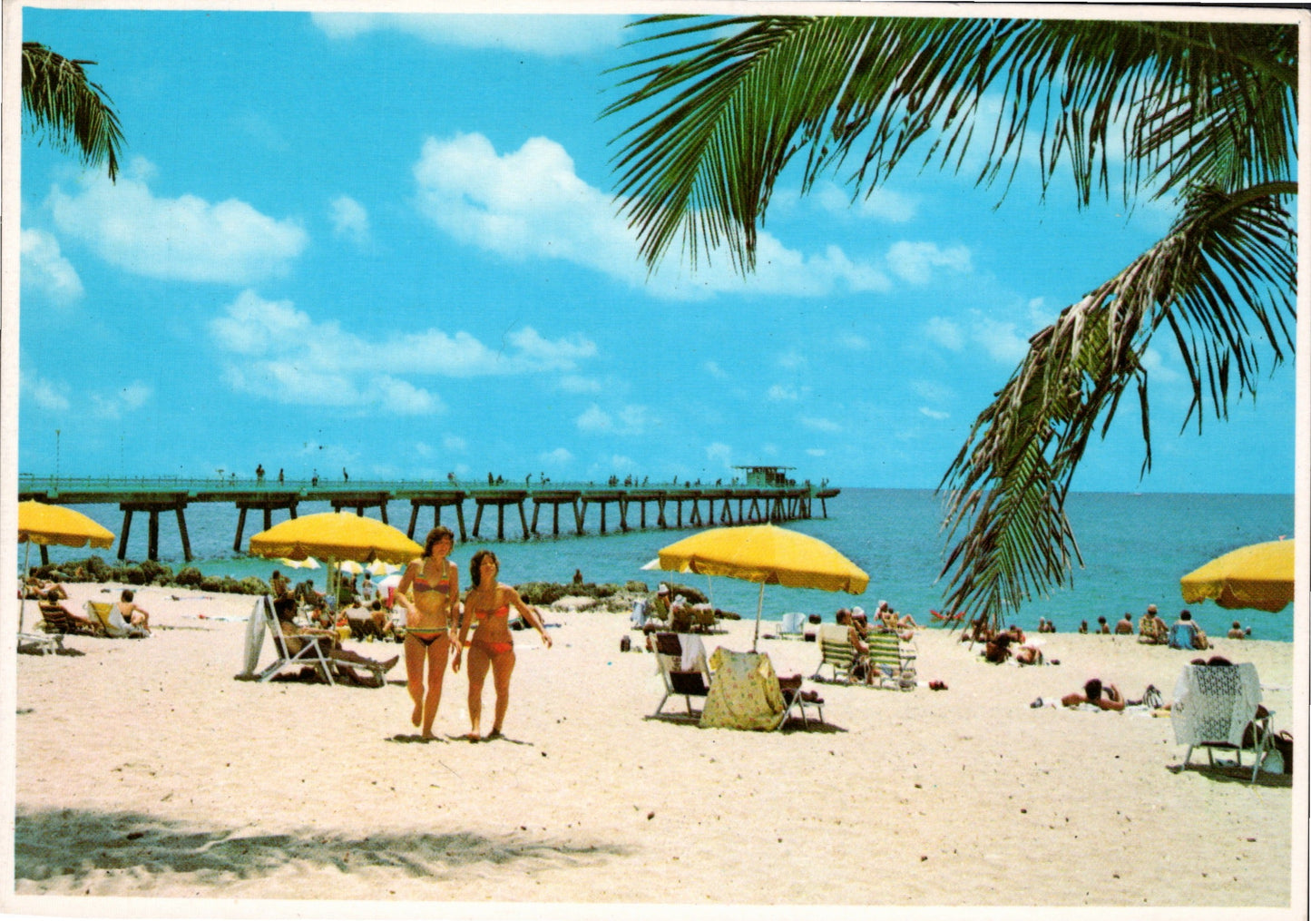 Broward County, FL (36 items)