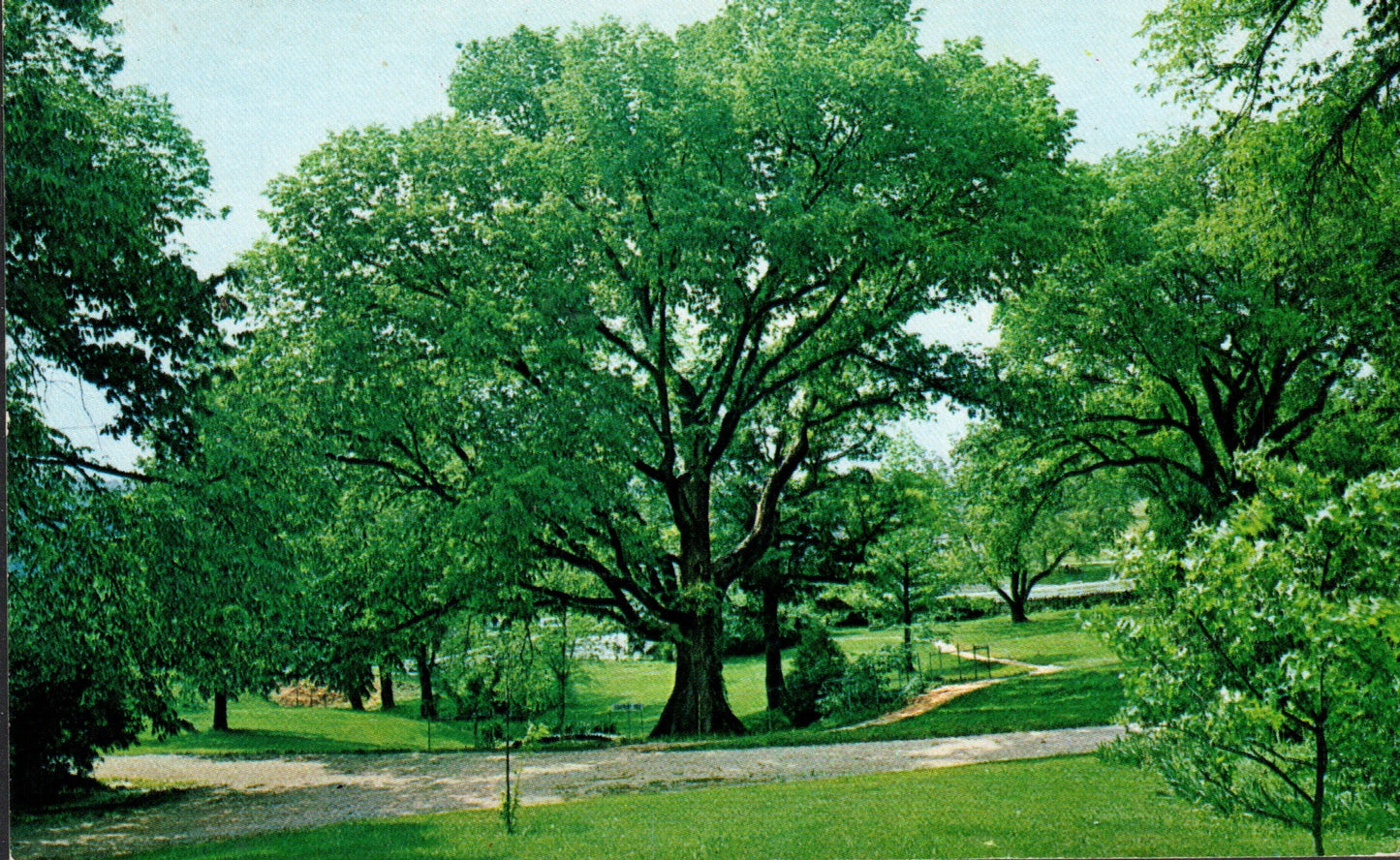 Saint Charles County, MO (20 items)