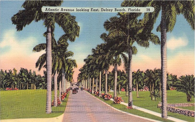 Palm Beach County, FL (57 items)