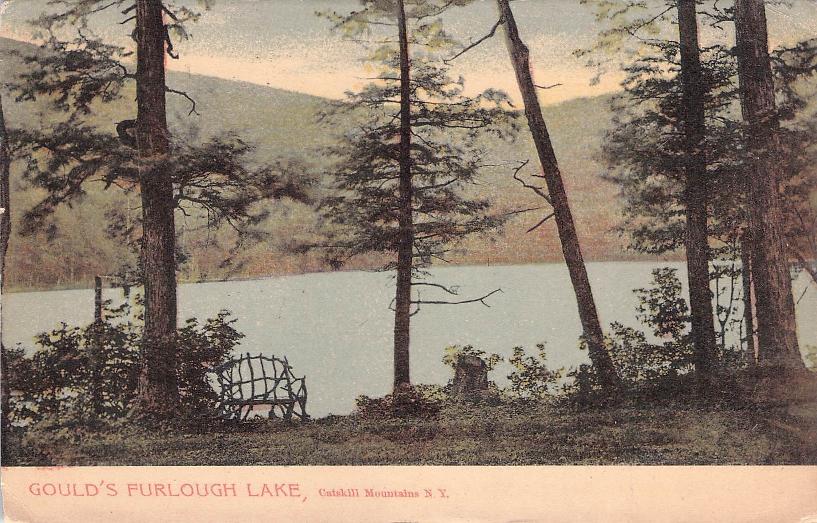 Delaware County, NY (41 items)