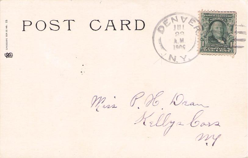 Delaware County, NY (41 items)