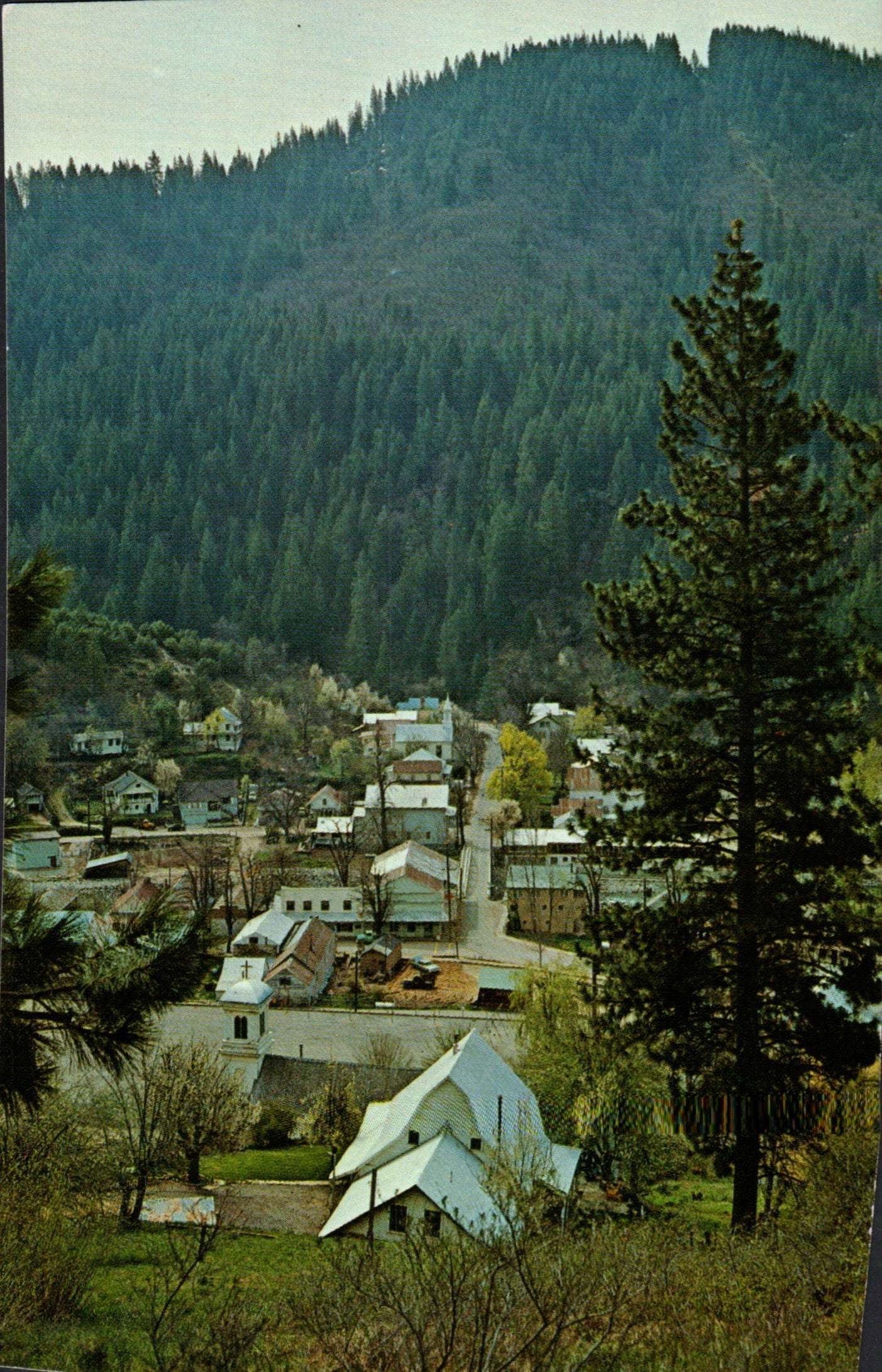 Sierra County, CA (26 items)