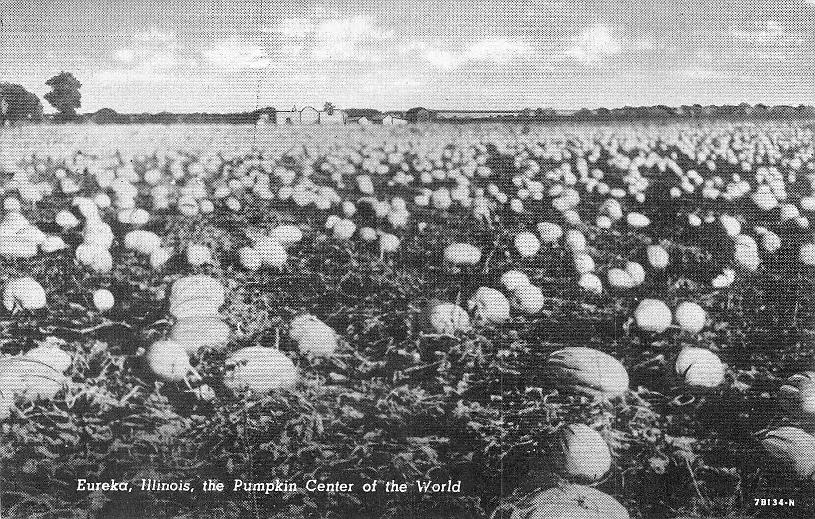 Woodford County, IL (18 items)