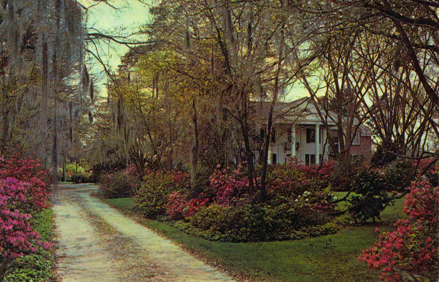 Florence County, SC (17 items)