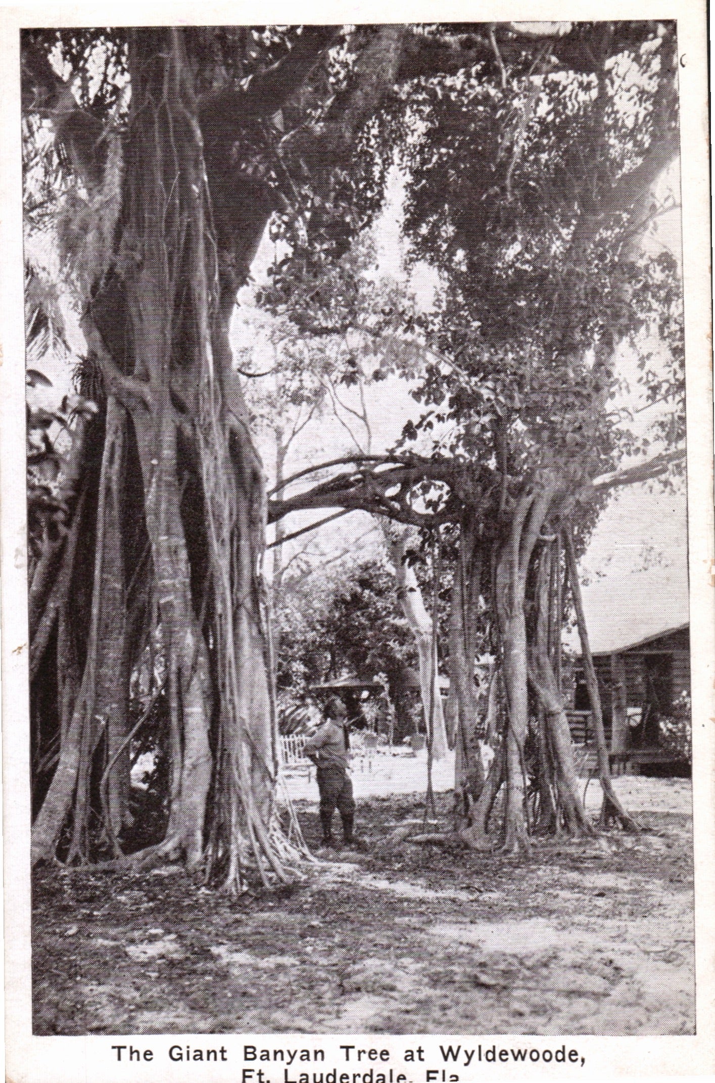 Broward County, FL (36 items)