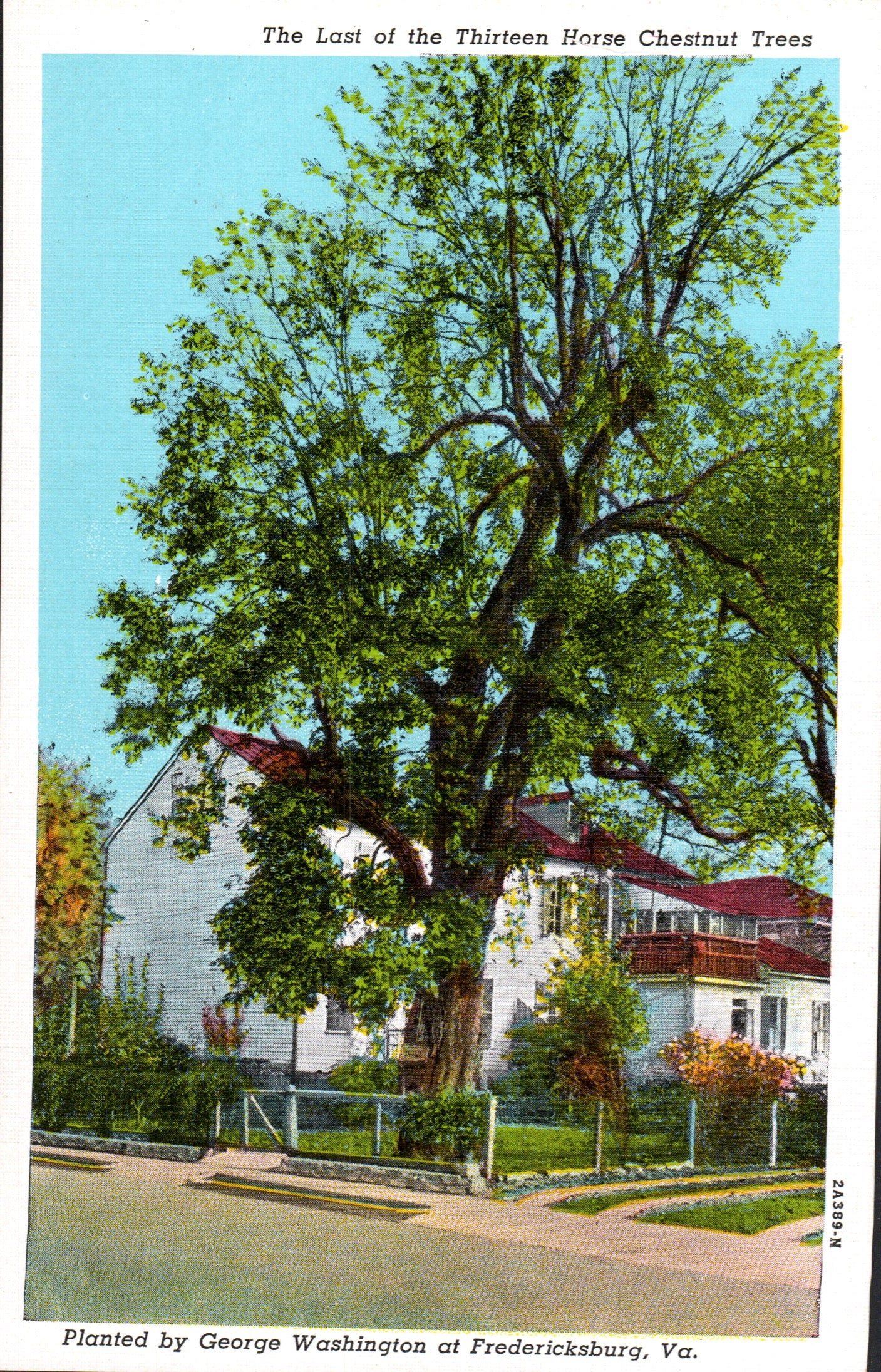 Spotsylvania County, VA (37 items)