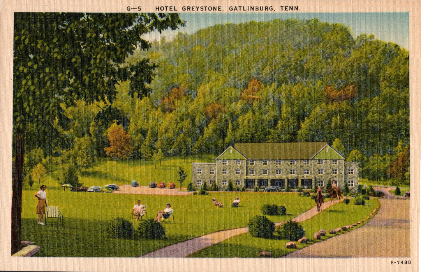 Sevier County, TN (19 items)
