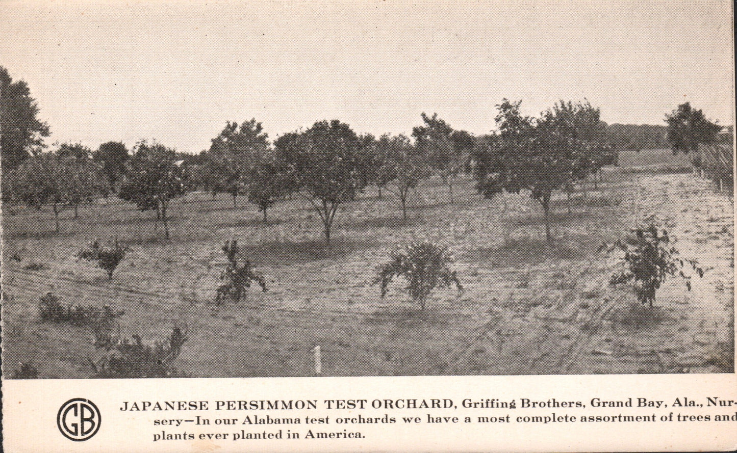 Mobile County, AL (41 items)